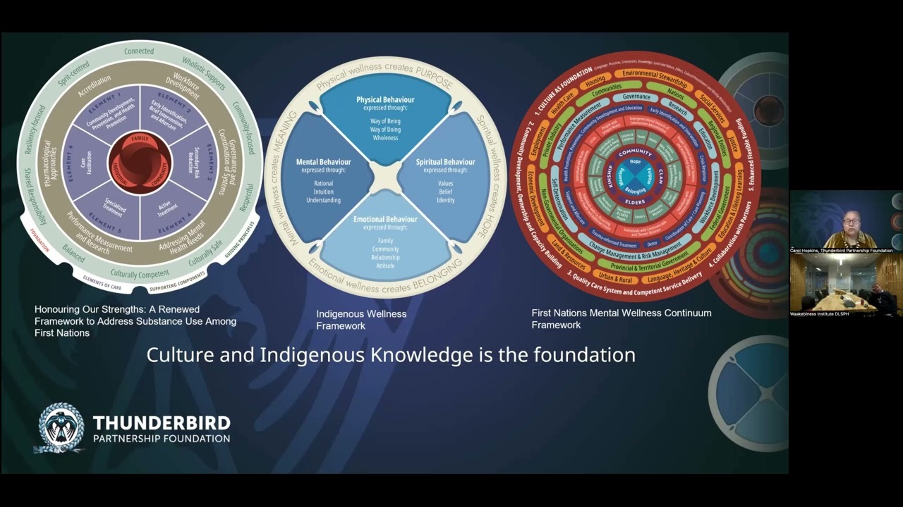 Carol Hopkins - Model of Care For Substance Use - ON NEIHR Webinar Series 2024/2025