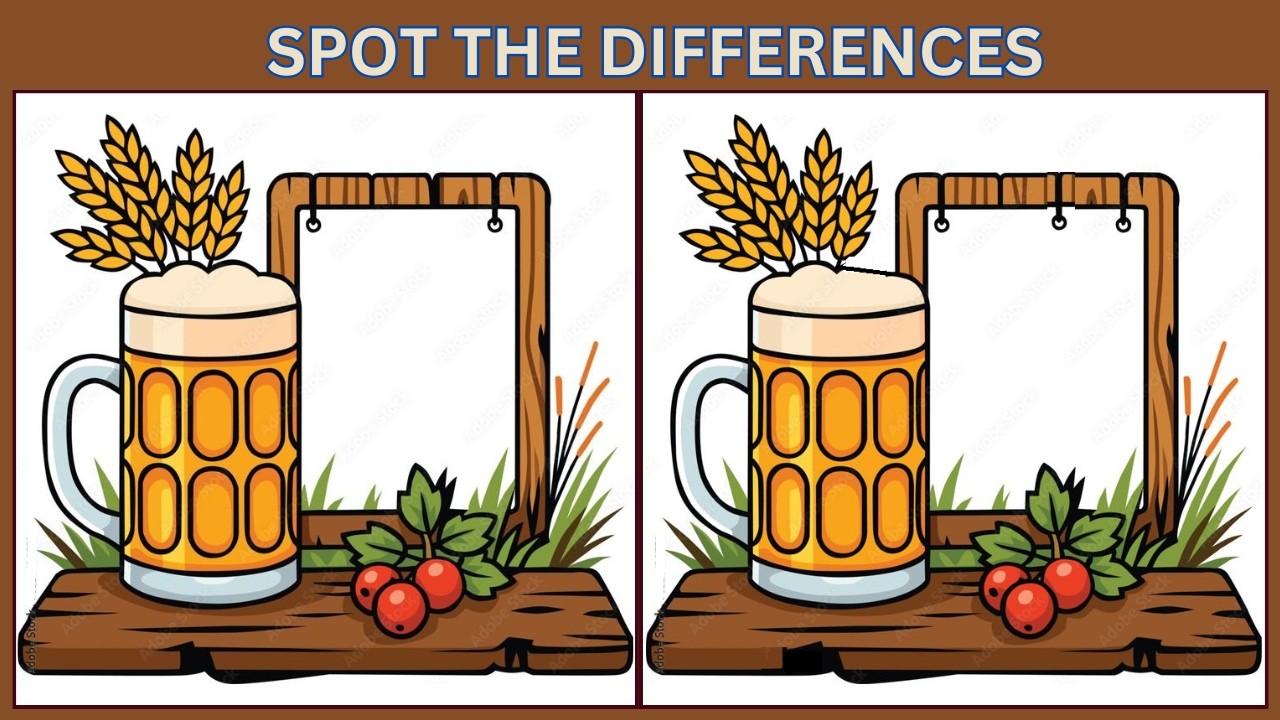 Spot the 3 Differences | 10 Brain Teasers to Test Your IQ