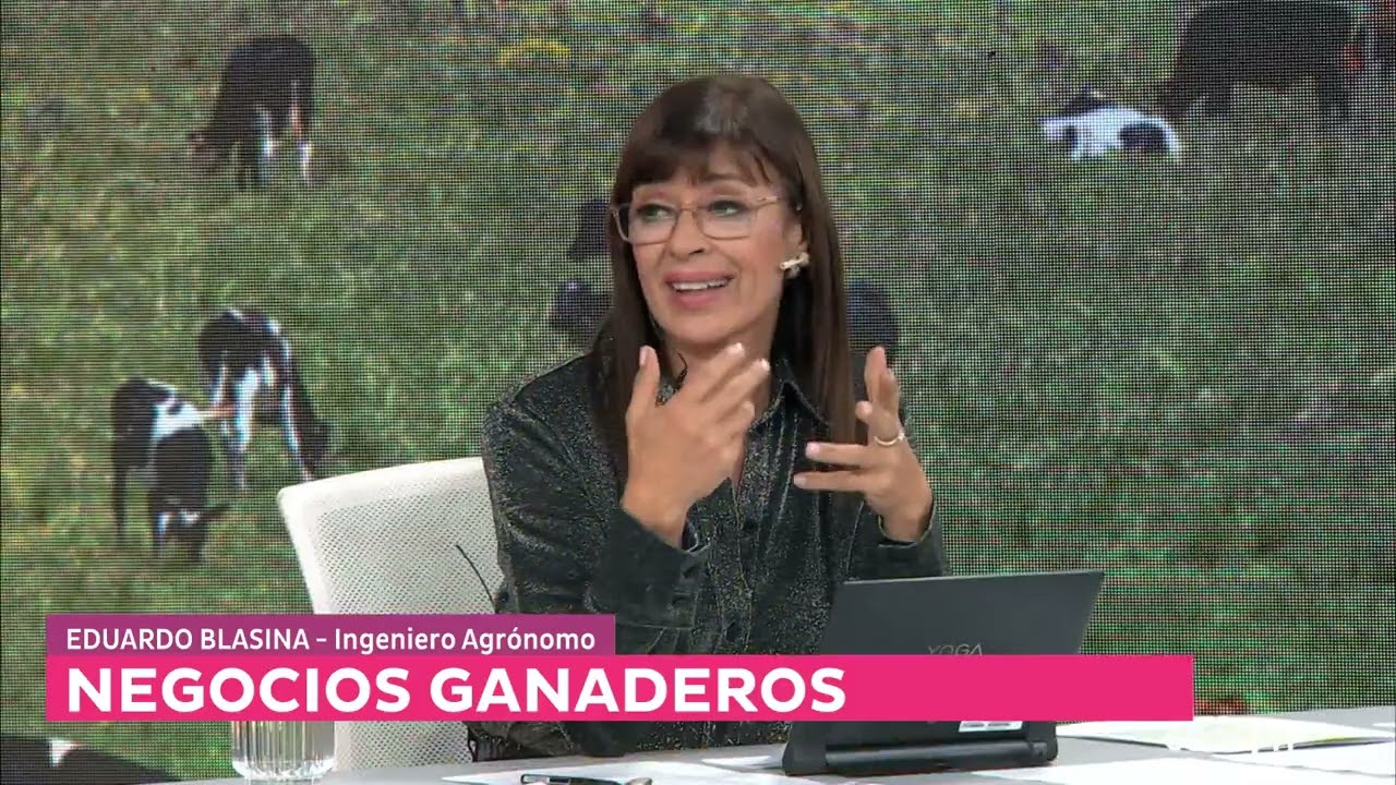Estafas ganaderas: “El sistema colapsa cuando todos quieren salir y nadie quiere entrar”