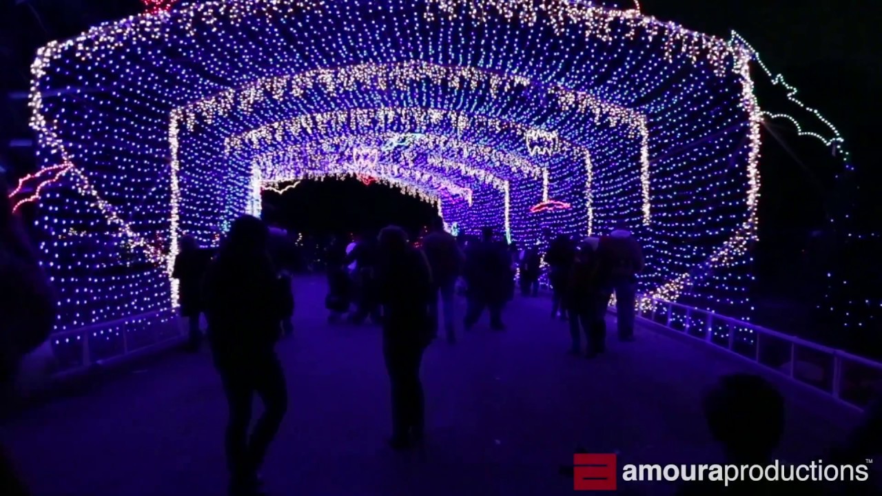 Video Tour: "Austin Trail of Lights" Holiday Light Show, 2014