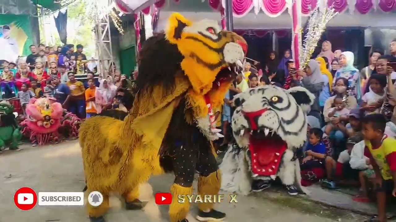 CAN MACANAN Lapar ❗PANDAWA DRUMBAND live nangeng genuk smg