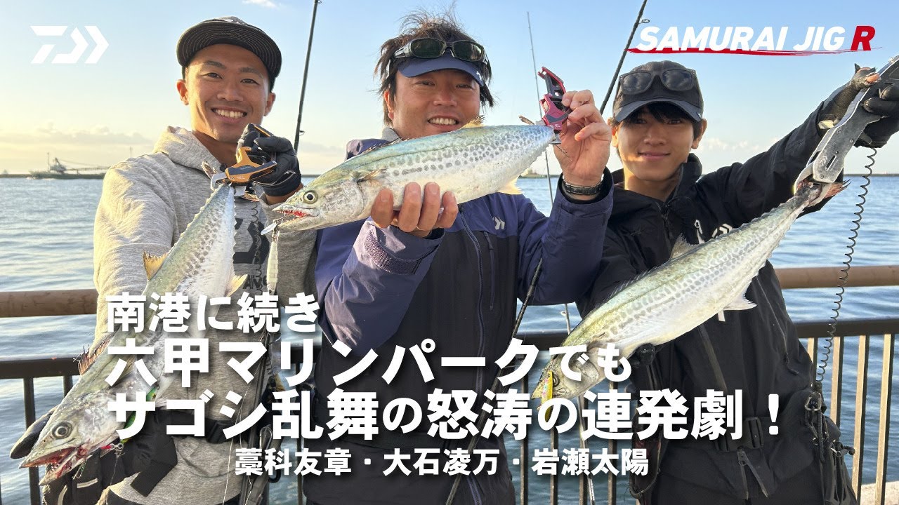[ライトショアジギング] 六甲マリンパークでもサゴシ乱舞の怒涛の連発劇