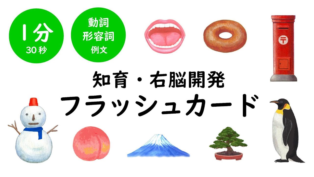 ②記憶力MIXフラッシュカード（動詞・形容詞例あり）