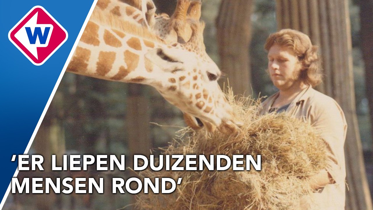 Zo zag Dierenpark Wassenaar er vroeger uit