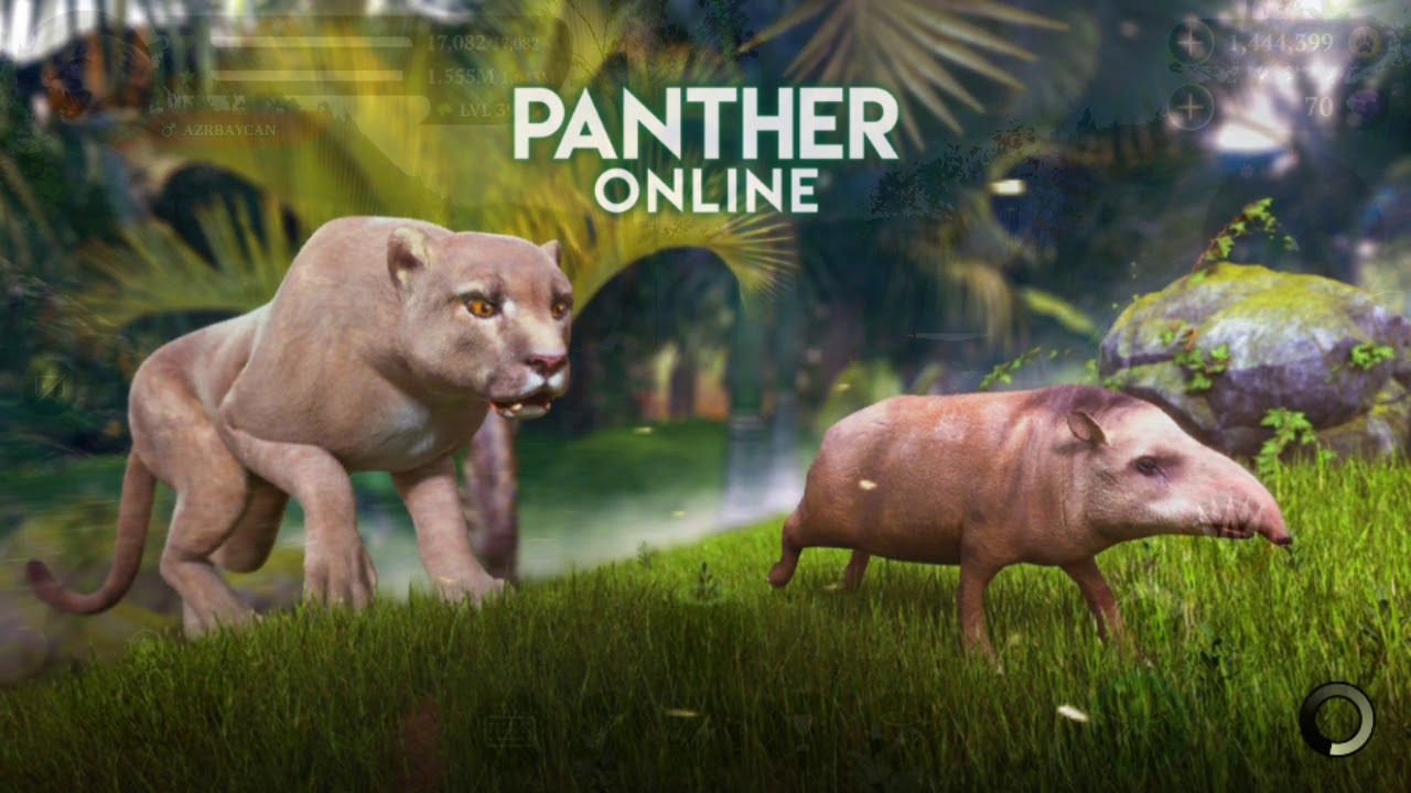 Panther online video I kill 40 level player