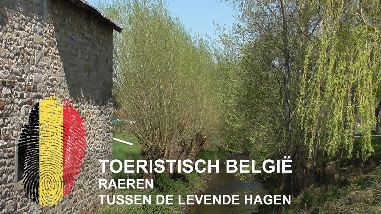 België | Tussen de levende hagen | Raeren
