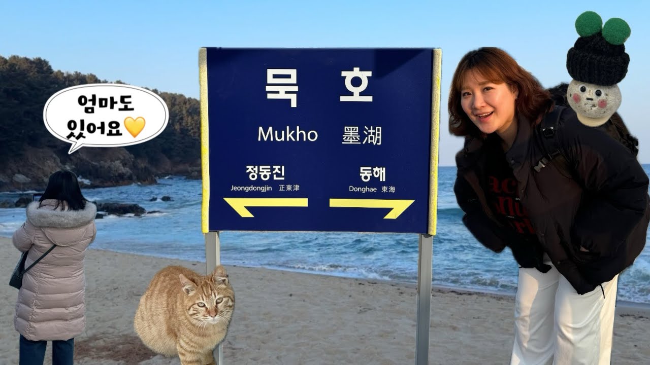 여행 vlog, 강원도 강릉•속초가 질릴 땐 묵호로! (잔잔한 영상)