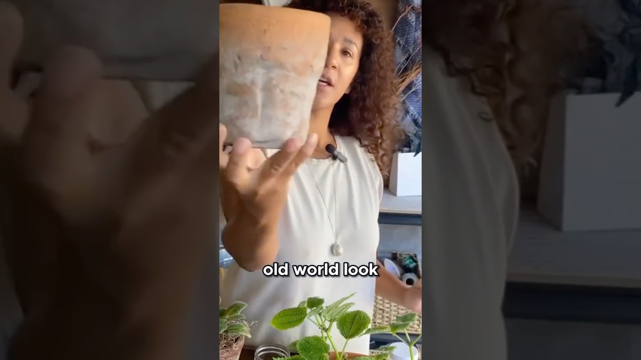 This ONE ingredient can transform your Terracotta pots