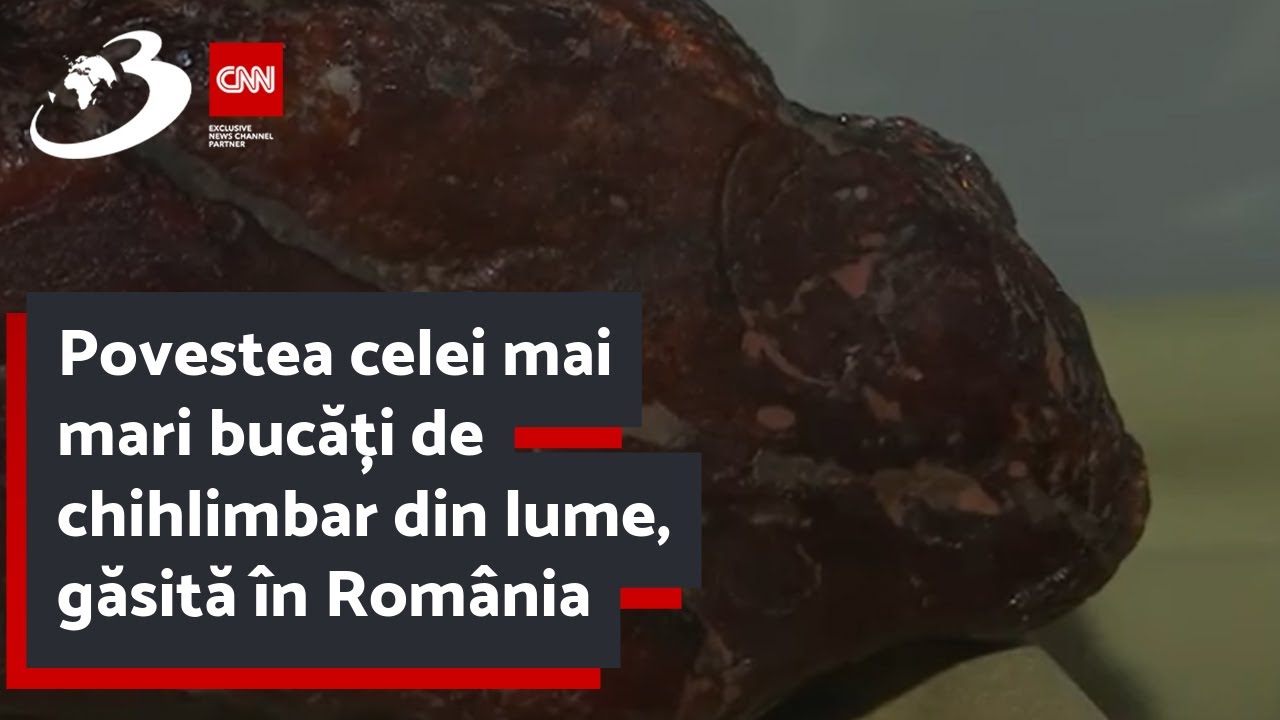 Povestea celei mai mari bucăți de chihlimbar din lume, găsită &icirc;n Rom&acirc;nia