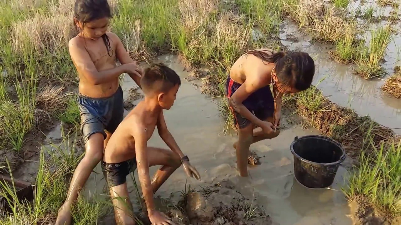 Amazing fishing at Battambang - people fishing in Cambodia - How to Catches fish (Part 49)