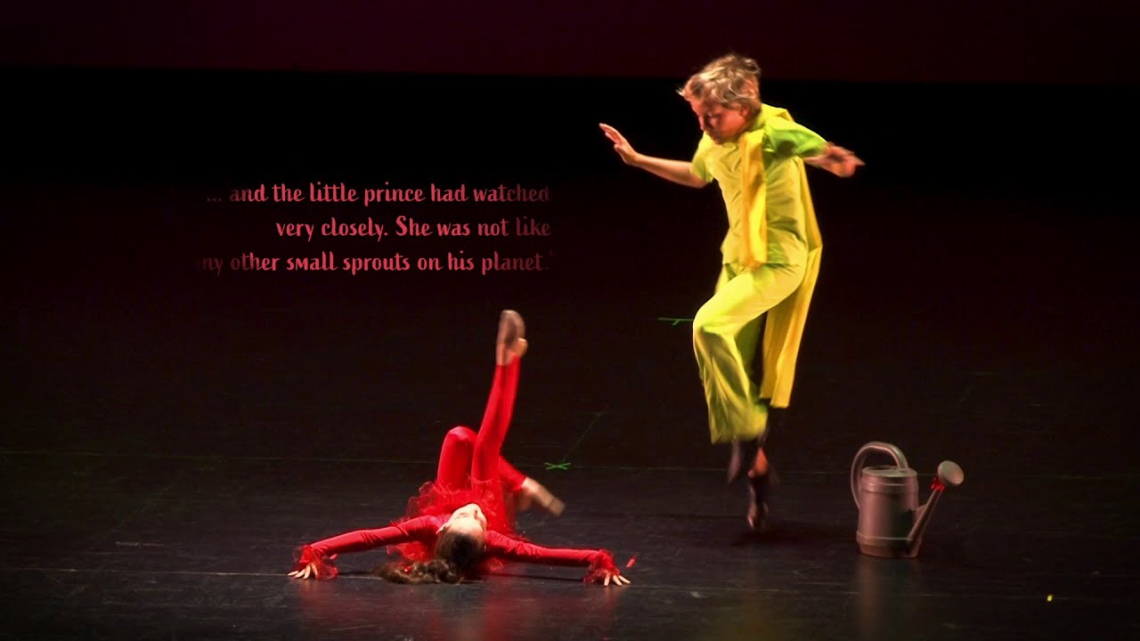 Firebird presents The Little Prince Selected Show