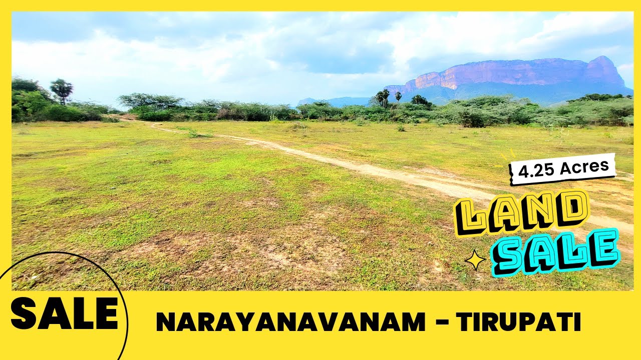 4.25 Acres Agricultural Land for Sale in Narayanavanam Near Puttur, Tirupati