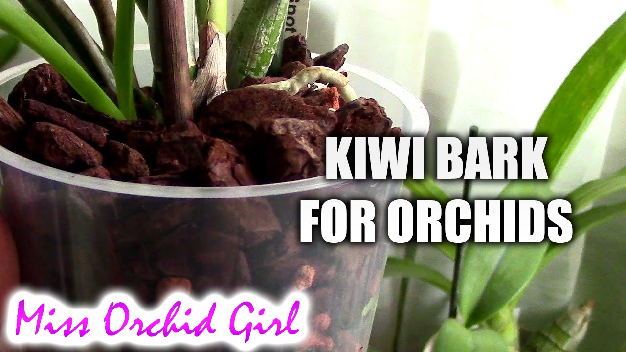 Kiwi bark for Orchids - product review