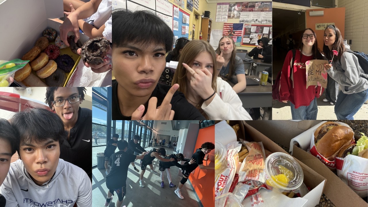 vlog1.mp4