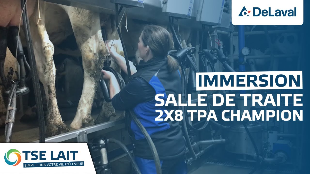 [TSE LAIT] SALLE DE TRAITE 2x8 TPA CHAMPION