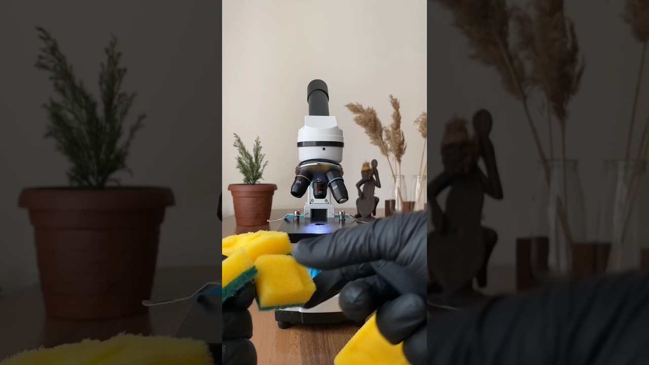 Mikroskop’ta Bulaşık Süngeri  #mikroskop #bulaşıksüngeri #temizlik #mutfak #hijyen #microscopes