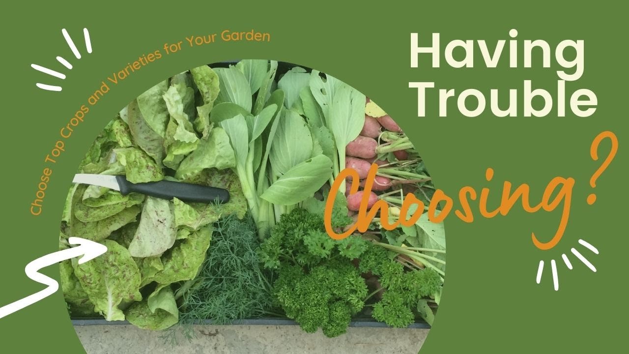 Vegetables to Grow: Choose What’s Best for Your Vegetable Garden