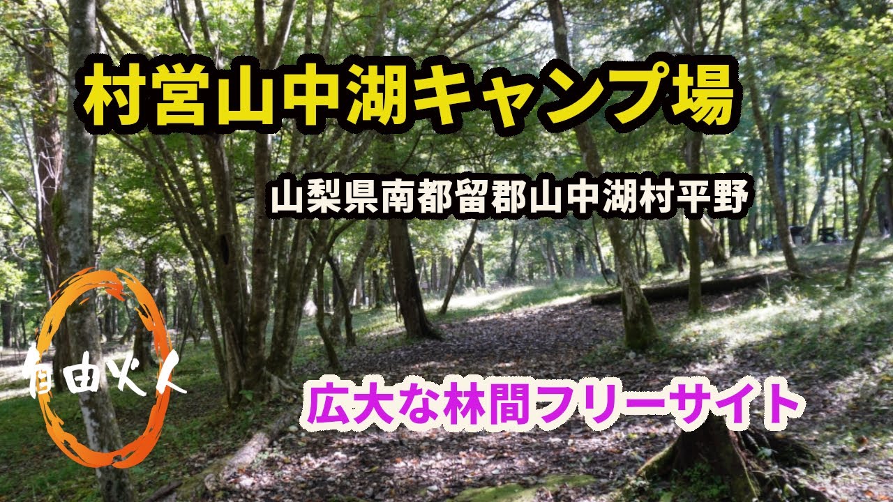 【キャンプ場紹介】村営山中湖キャンプ場（地球元気村運営）山梨県南都留郡山中湖村平野