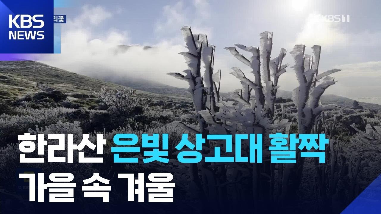 한라산 은빛 상고대&hellip;가을과 겨울 공존 / KBS  2025.10.29.