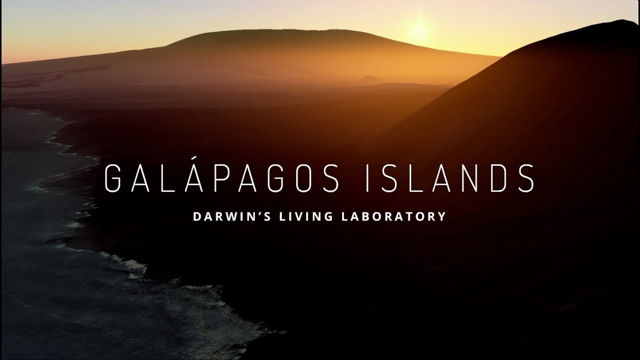 Explore the Galapagos Islands with Google Maps