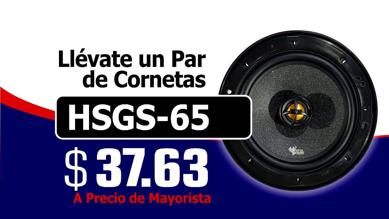 Vive la M&uacute;sica del par HSGS-65