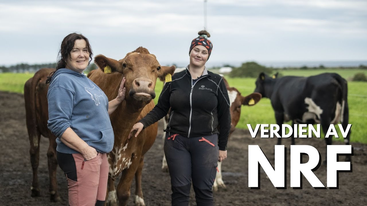 Verdien av NRF - Hobberstad gård på Jæren