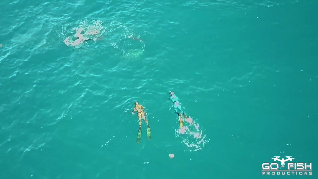 Drone Footage of Bull Shark attack on Spearfishing Team | Mavic Pro