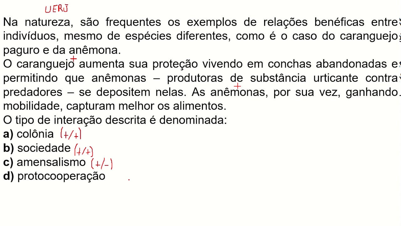 exercícios relações ecológicas