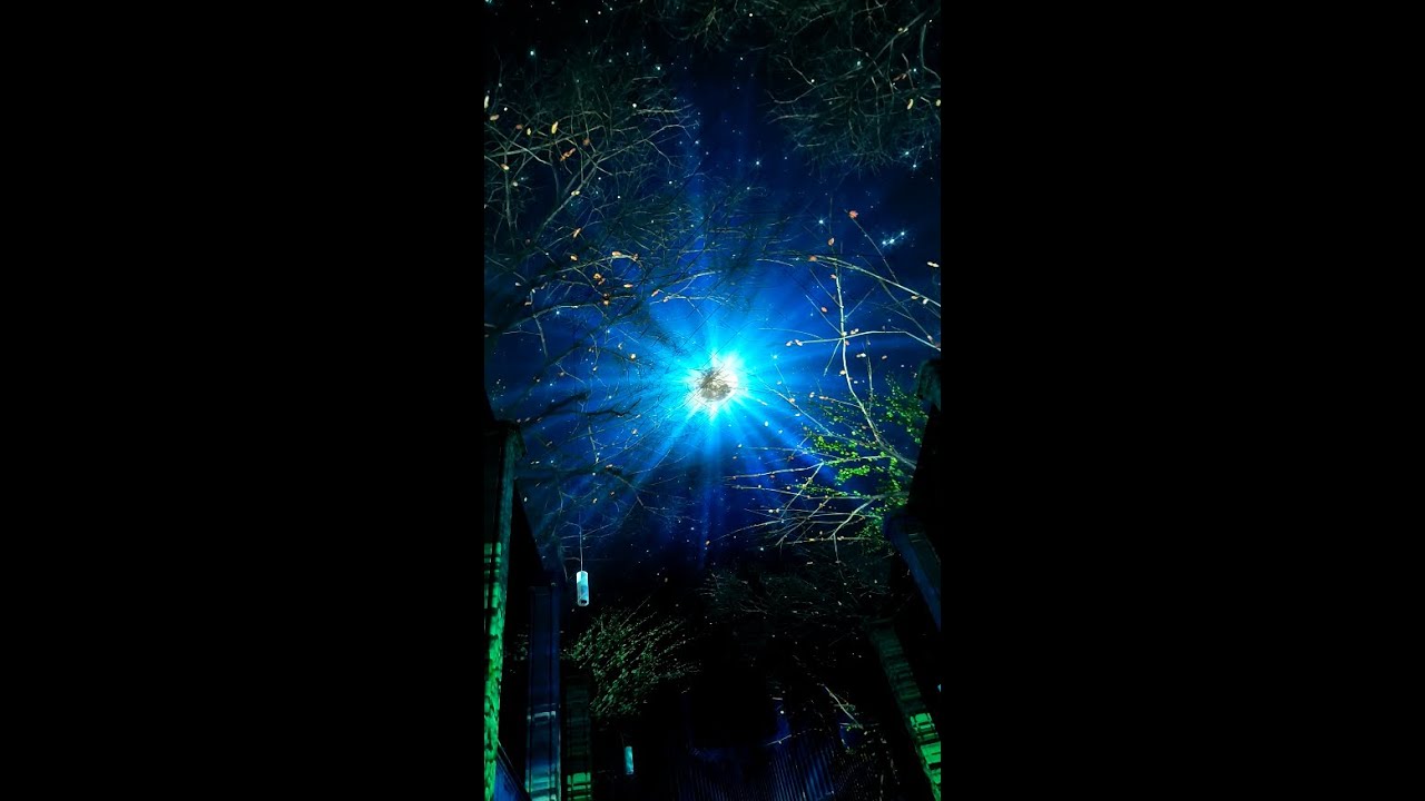 Enlightenment München: Eine Klang- und Lichtshow nach den Vier Jahreszeiten von Vivaldi