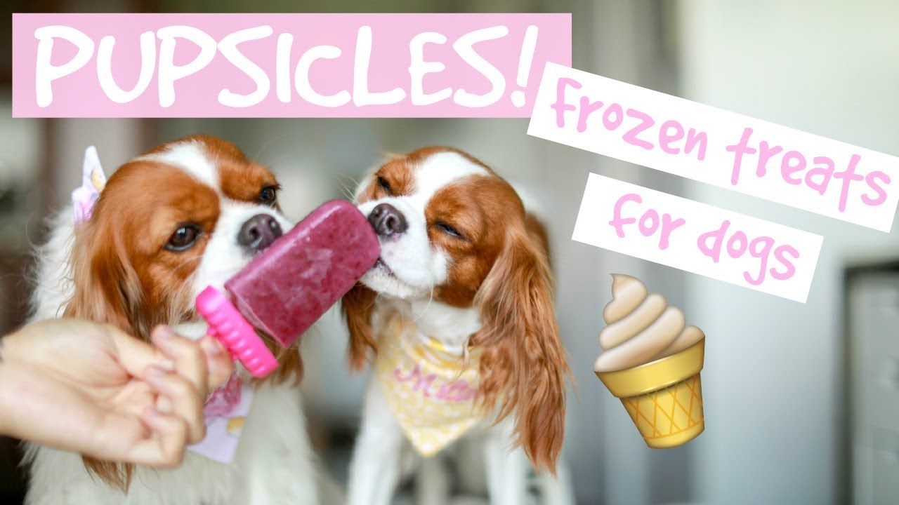 DIY POPSICLES FROZEN DOG TREATS | Easy and Healthy | Herky Eats