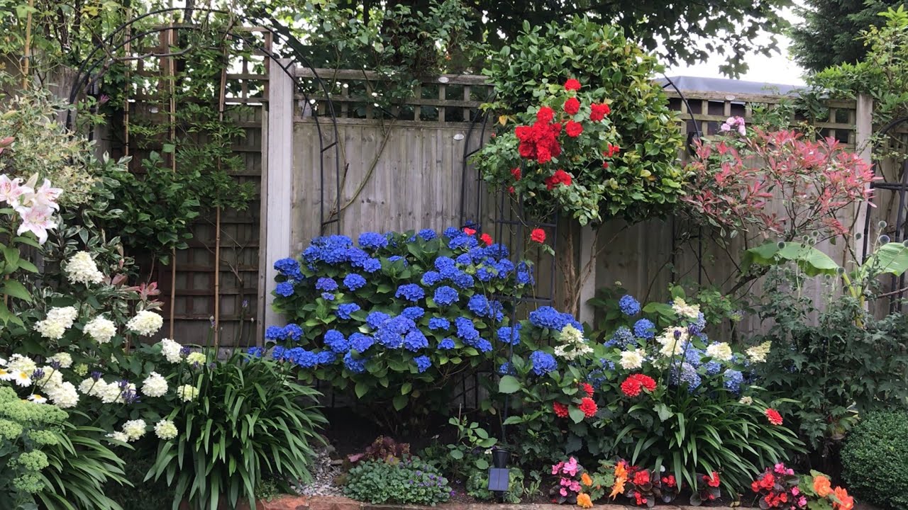 End of July small garden update 🪴25/7/2025
