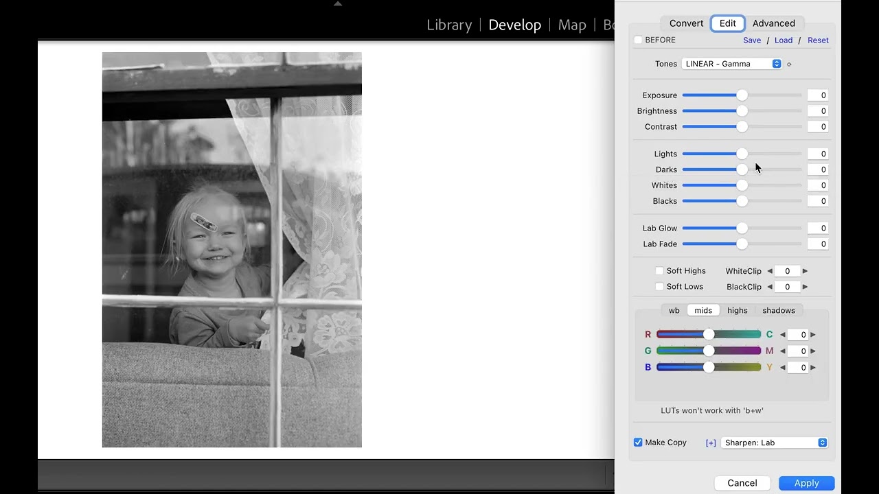 Basic BW Editing in NLP Video