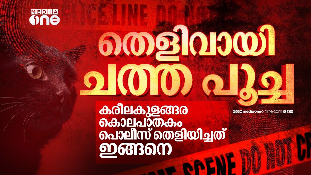 പൂച്ചയെയും പോസ്റ്റ്മോർട്ടം ചെയ്തു, ഒടുവില്‍ തെളിഞ്ഞത് സ്ത്രീയുടെ കൊലപാതകക്കേസ് | nmp
