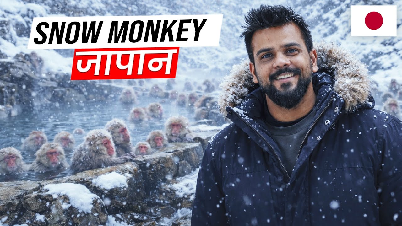 Snow monkey Japan 😍II Indian in Japan II