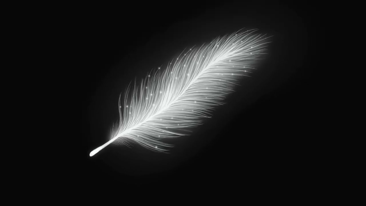 White Feather Animated Loop | Creative Flow Music | Background for Drawing and Art