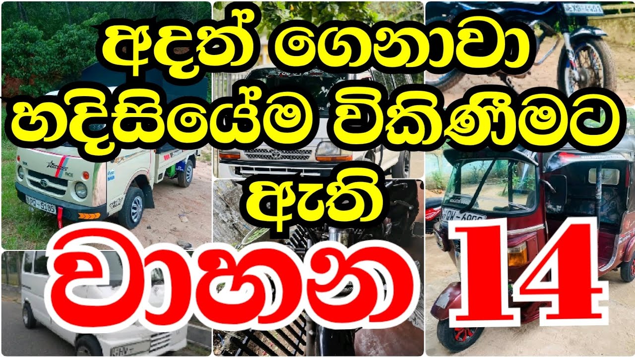 හදිසියේම විකිණීමට ඇති වාහන 14ක් 🚗🔥 අදම අඩු මිලට ගන්න අවස්ථාව!