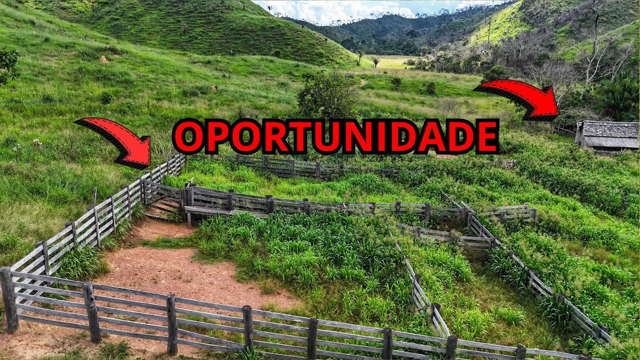 Fazenda com preço de oportunidade.  110 alqueires a 60 km de São Félix do xingu