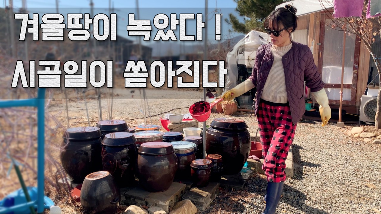 6평시골작은집 고양이셋과 반백의 싱글 🧘🏻시골의 일은 넘쳐도 화가안나~/텃밭비빔밥🥗