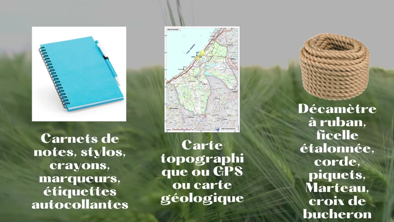Sortie écologique