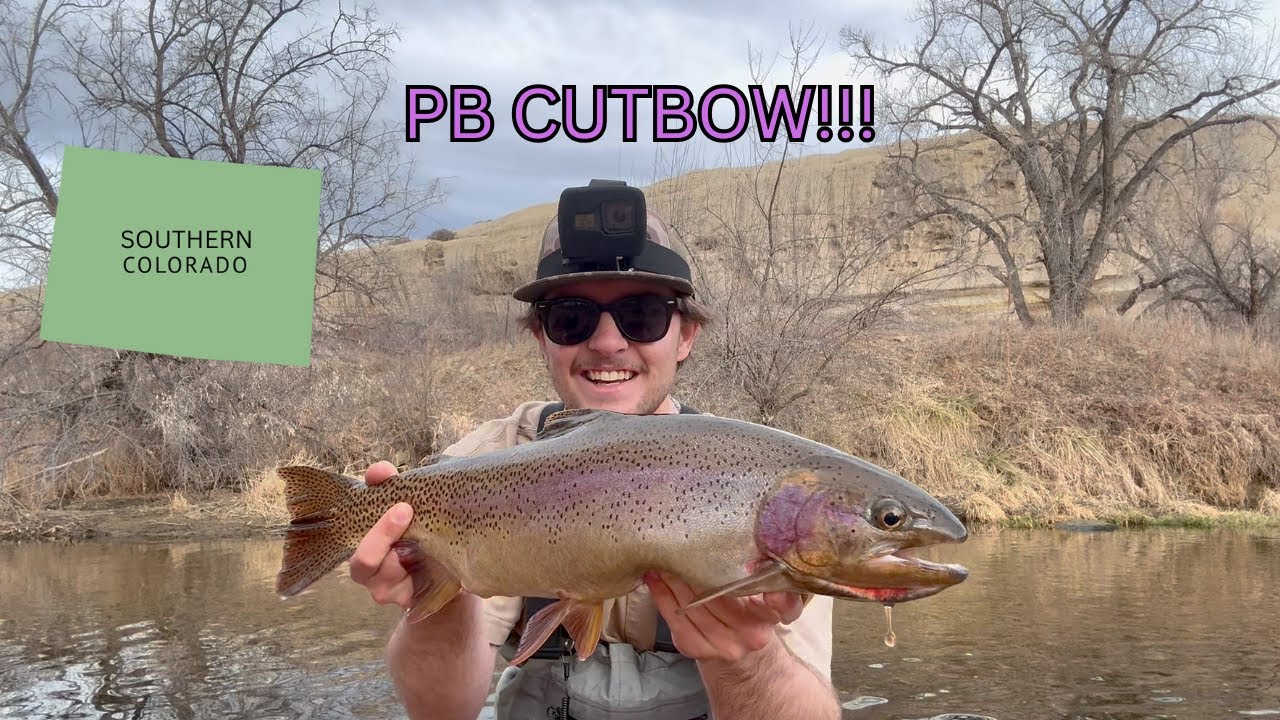 Pulling BIG TROUT out of a TINY river in SOUTHERN COLORADO