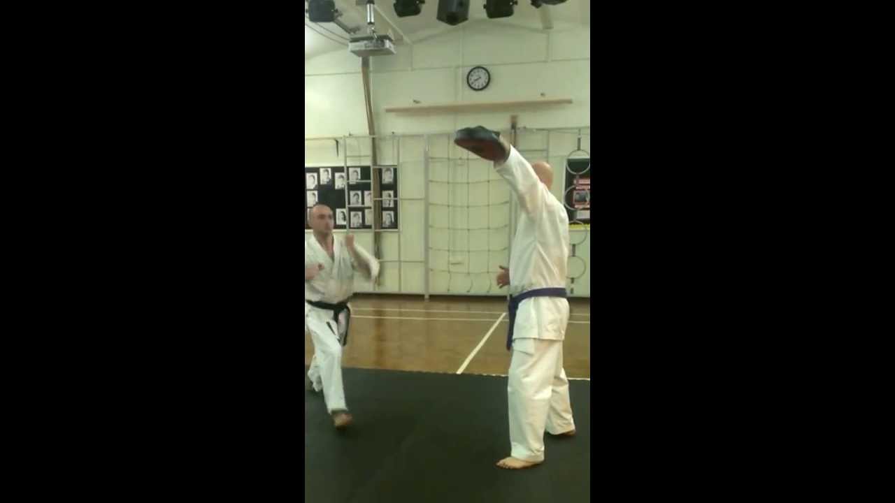 andy ryu karate master