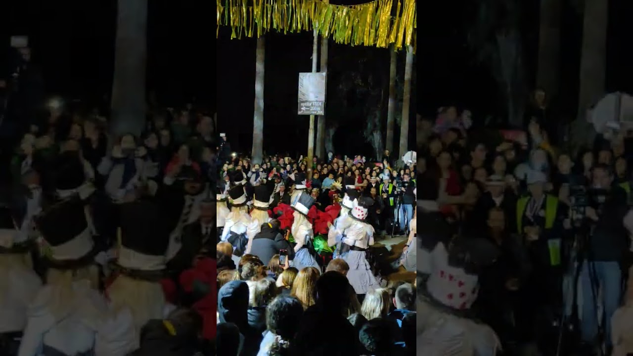 Festival Mimoze Herceg novi 2024❤️‍🔥