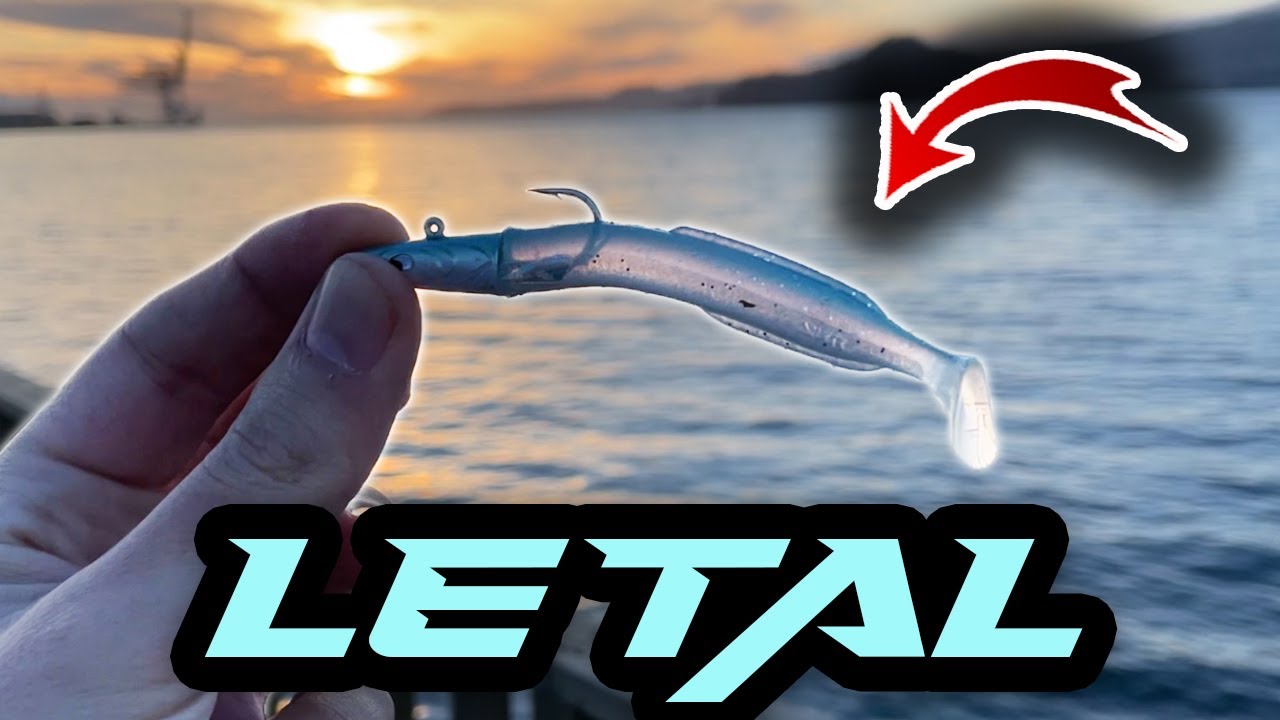 **LUBINAS a SPINNING en la ría con VINILOS | NUEVOS colores del SEÑUELO Happy Eel de Ykr