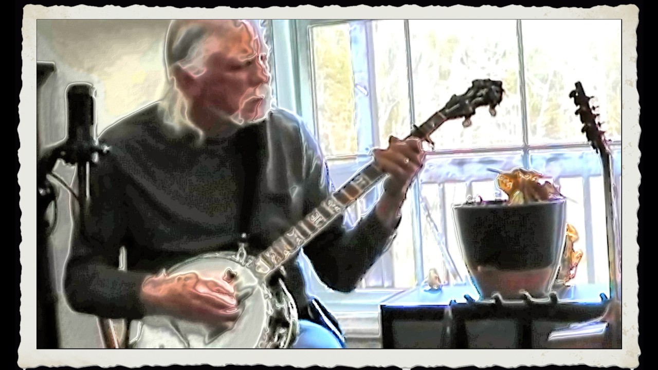 Bay Of Fundy Live With Banjo