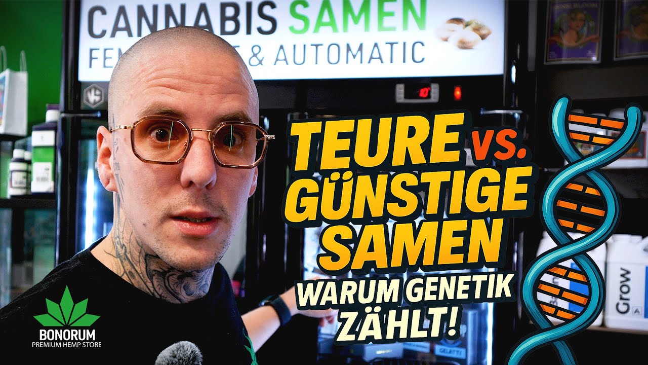 Teure vs. g&uuml;nstige Samen 🌱 | Warum Genetik z&auml;hlt & welche Sorten wirklich zu dir passen!