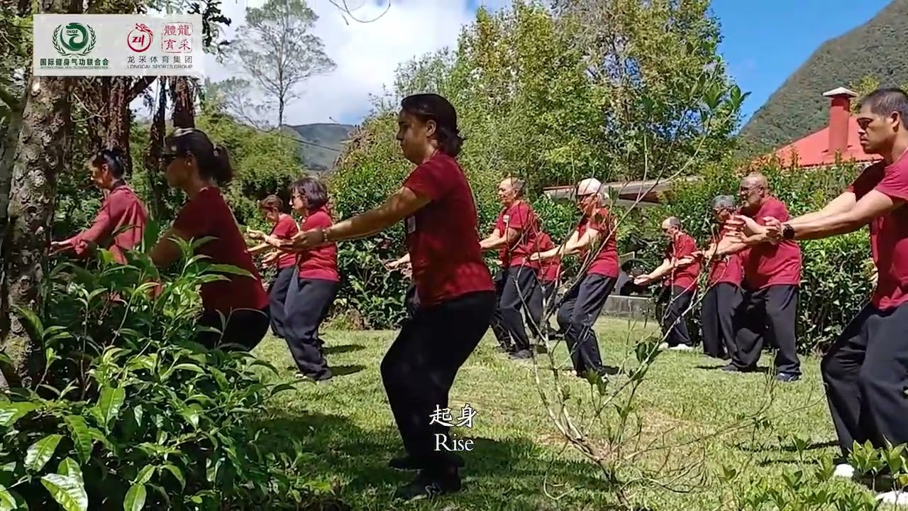 Longshan Liuzijue Plaine des Palmistes