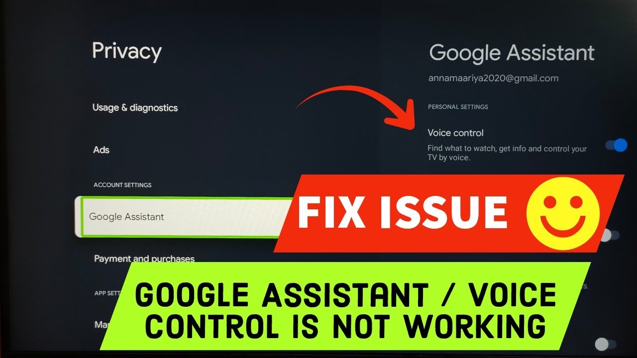 Android TV : 2 Ways to Fix Voice Control or Google Assistant Not Working Issue in any Android TV