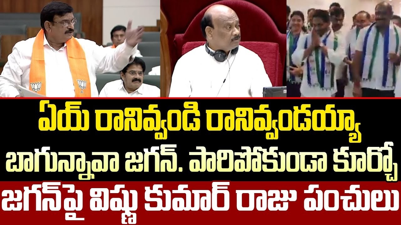 బాగున్నావా జగన్. పారిపోకుండా కూర్చోజగన్ పై విష్ణు కుమార్ రాజు పంచులు || ISM Telugu