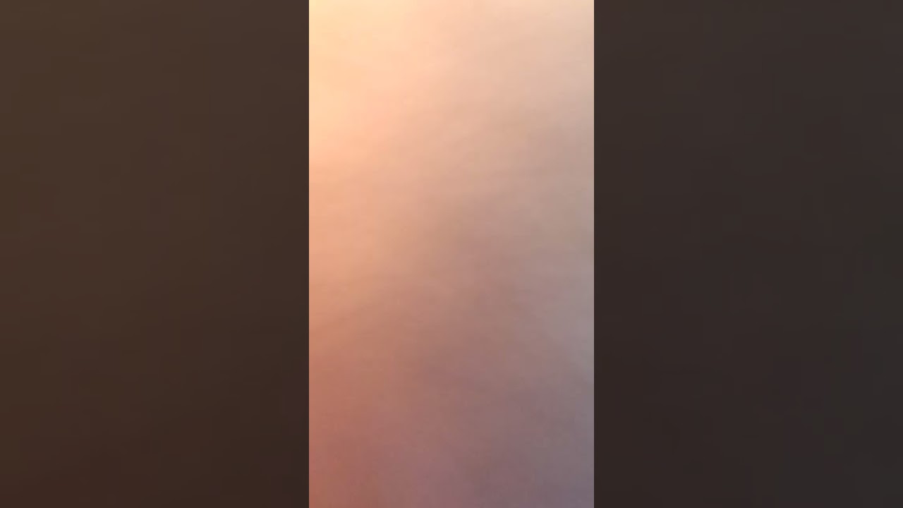 145233_56🐾帰り道