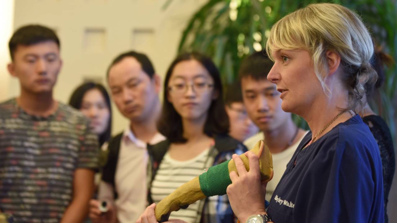 JMICAWE at Jilin University, China